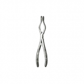 Septum Forceps